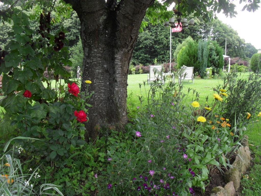 La Chevallerie B&B Isigny-le-Buat Buitenkant foto