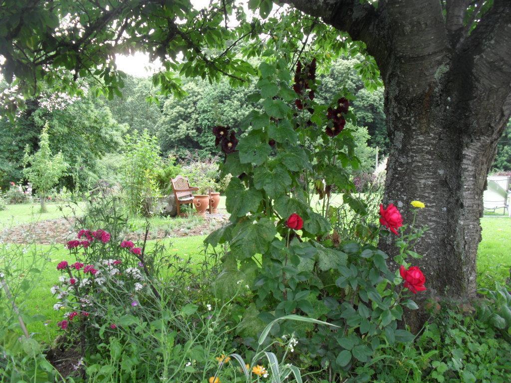La Chevallerie B&B Isigny-le-Buat Buitenkant foto