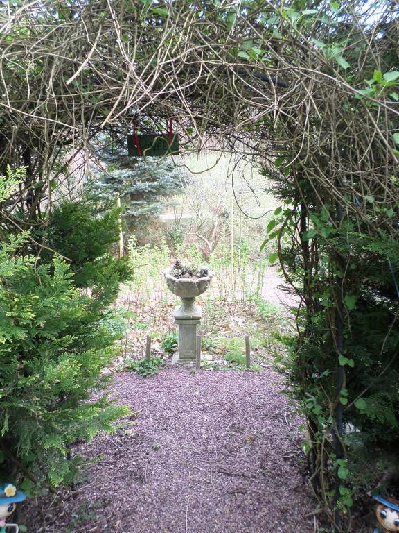 La Chevallerie B&B Isigny-le-Buat Buitenkant foto