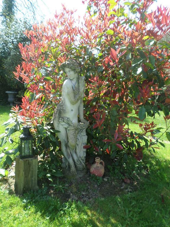 La Chevallerie B&B Isigny-le-Buat Buitenkant foto