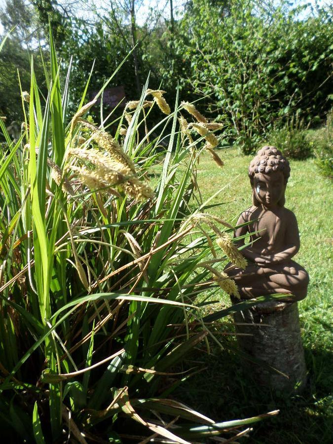 La Chevallerie B&B Isigny-le-Buat Buitenkant foto